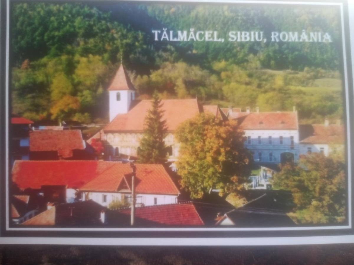 Pensiunea Casa Roman Tălmaciu エクステリア 写真