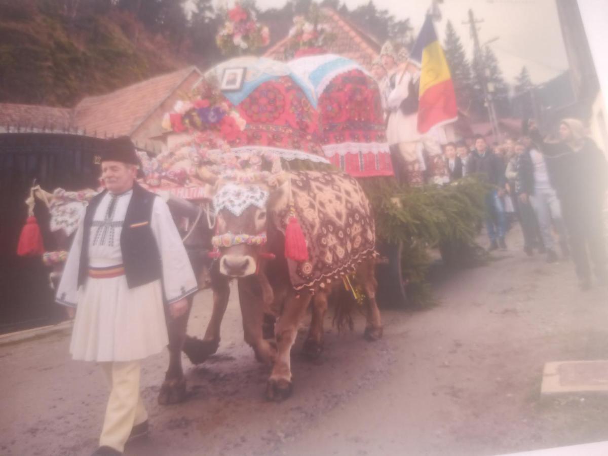 Pensiunea Casa Roman Tălmaciu エクステリア 写真